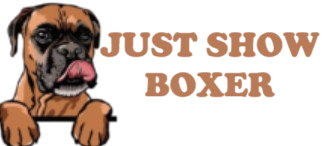 justshowboxer.com
